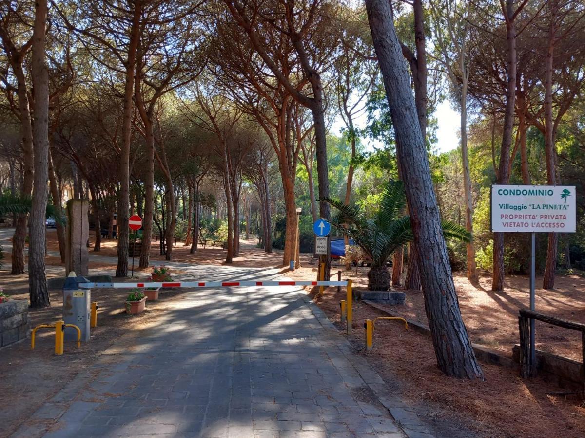 Apartment Pinna1 - In In Pineta - Iun R4823 S'archittu Cuglieri